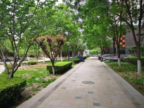 富力桃园C区24号楼3单元1203