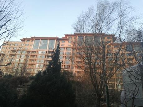 紫御府（紫瑞嘉园）1号楼3单元1101号