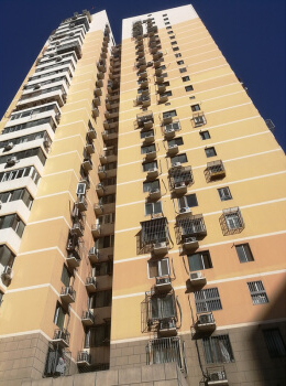 紫芳园一区11号楼203