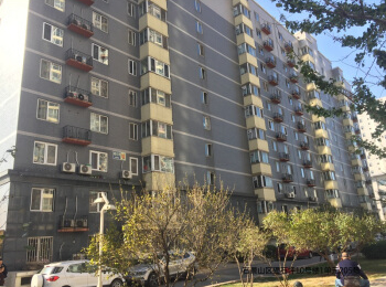 碣石坪10号楼1单元205号