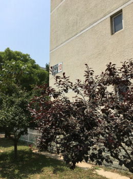 世界名园A区13号楼2单元201号