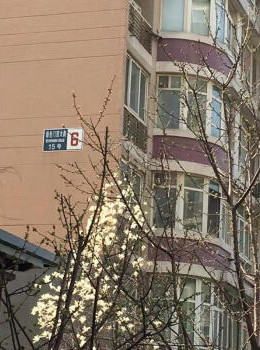 远洋风景6号楼1单元102号