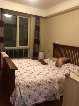 火星园12号楼1单元1043号 